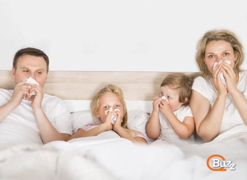 get-rid-of-allergies-airpure