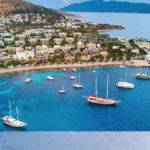 blog 1