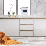 HomePure Viva ile Evcil Hayvanlarınızın Sağlığını Koruyun