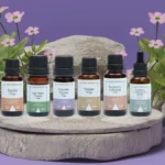 blog naturtres