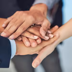 Network marketing eğitiminde kişisel gelişim ile satış başarısını artıran takım üyeleri birlikte çalışıyor.