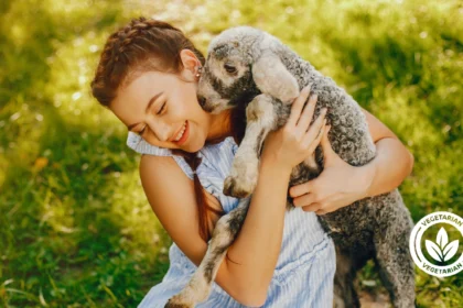 kız ve kuzu dostluğu dünya vejetaryen günü